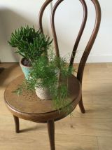 Chaise  THONET