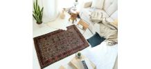 Tapis Alwan