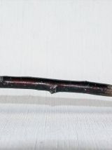 Pipe en bois du 19e figurant une tête d'homme 