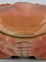 Terrine Caugant Crabe ou Tourteau