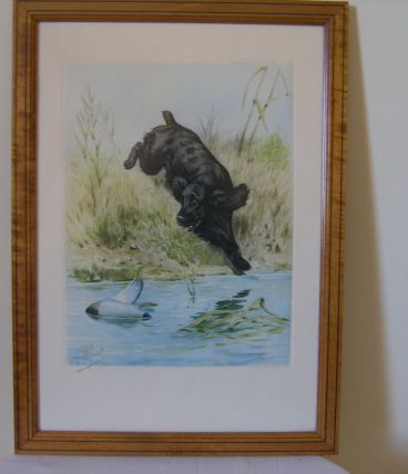 Eau forte aquarelle  de RIAB
