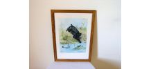 Eau forte aquarelle  de RIAB