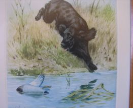 Eau forte aquarelle  de RIAB