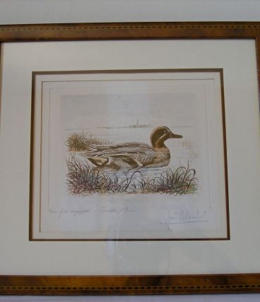 Aquarelle de José Colombé