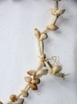 Collier de coquillages cauris. Vintage origine Afrique.