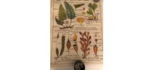 Affiche scolaire année 60
