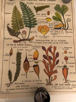 Affiche scolaire année 60