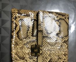 pochette en python laurent mercadal