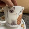 Duo tasse et soucoupes chats