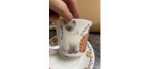Duo tasse et soucoupes chats