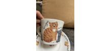 Duo tasse et soucoupes chats