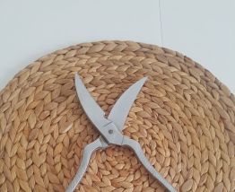 Ancienne paire de ciseaux de cuisine pour volaille