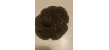 Broche chanel camelia 