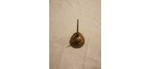 Burette d'huile 