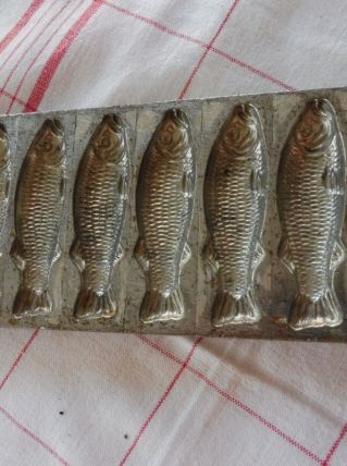 Moule chocolatier letang poissons ancien N2