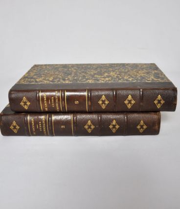 2 livres reliés en cuir