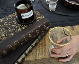 2 livres reliés en cuir