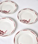 6 assiettes fleuries creuses