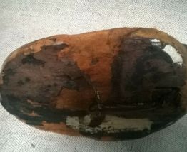 Appelant de chasse ancien "Canard"
