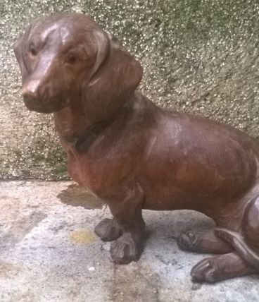 Chien de la foret noire
