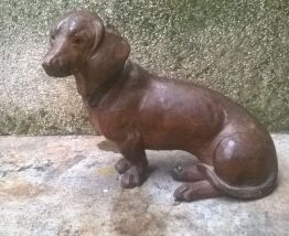 Chien de la foret noire