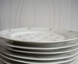 lot de 12 assiettes porcelaine de Limoges