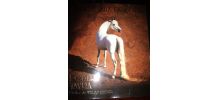 Livre grand format broché -"Les chevaux du Soleil" par Ravra