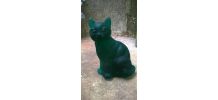 Chat en pâte de verre 