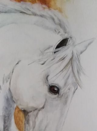 Peinture sur toile