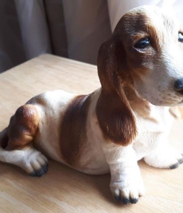 Chien décoratif Basset Hound