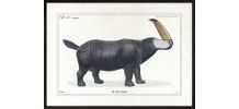 Chimère - gravure lithographie - le toucéros