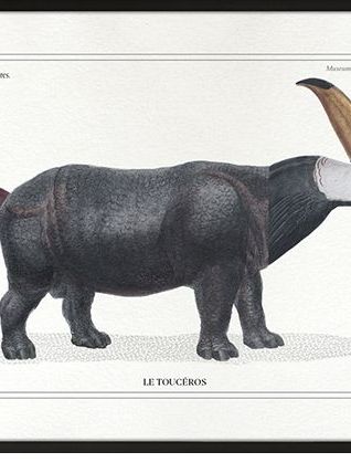 Chimère - gravure lithographie - le toucéros