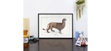 Chimère - gravure lithographie - l'alpalion