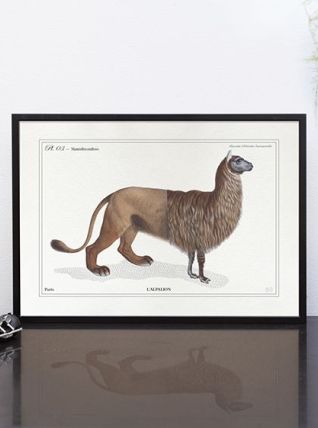 Chimère - gravure lithographie - l'alpalion