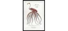 Chimère - gravure lithographie - le flamoulpe rose