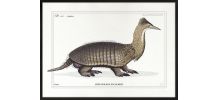 Chimère - gravure lithographie - l'hétatouron