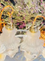 Duo de Lampes baladeuses en verre moulé vintage forme tulipe