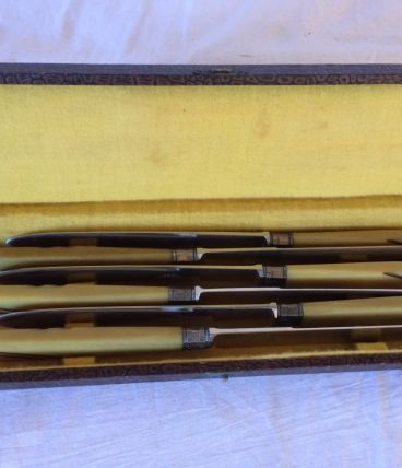 coffret de 6 couteaux de table Art Déco