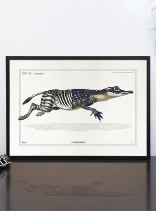 Chimère - gravure lithographie - le zèbrodile