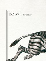 Chimère - gravure lithographie - le zèbrodile