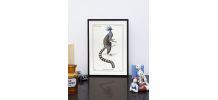 Chimère - gravure lithographie - le ouistigeon