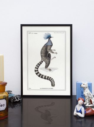 Chimère - gravure lithographie - le ouistigeon