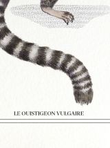 Chimère - gravure lithographie - le ouistigeon