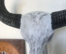Tête de buffle 