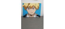 Cadre bakugo