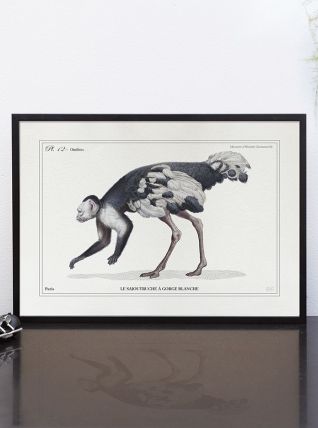 Chimère - gravure lithographie - le sajoutruche