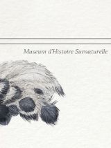 Chimère - gravure lithographie - le sajoutruche