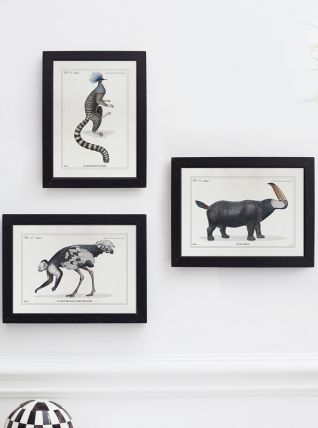 Chimères - gravure lithographie - lot de 3