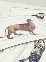 Chimères - gravure lithographie - lot de 2