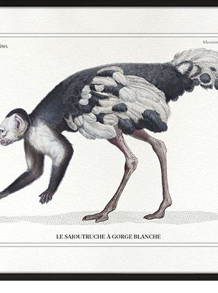 Chimères - gravure lithographie - lot de 2